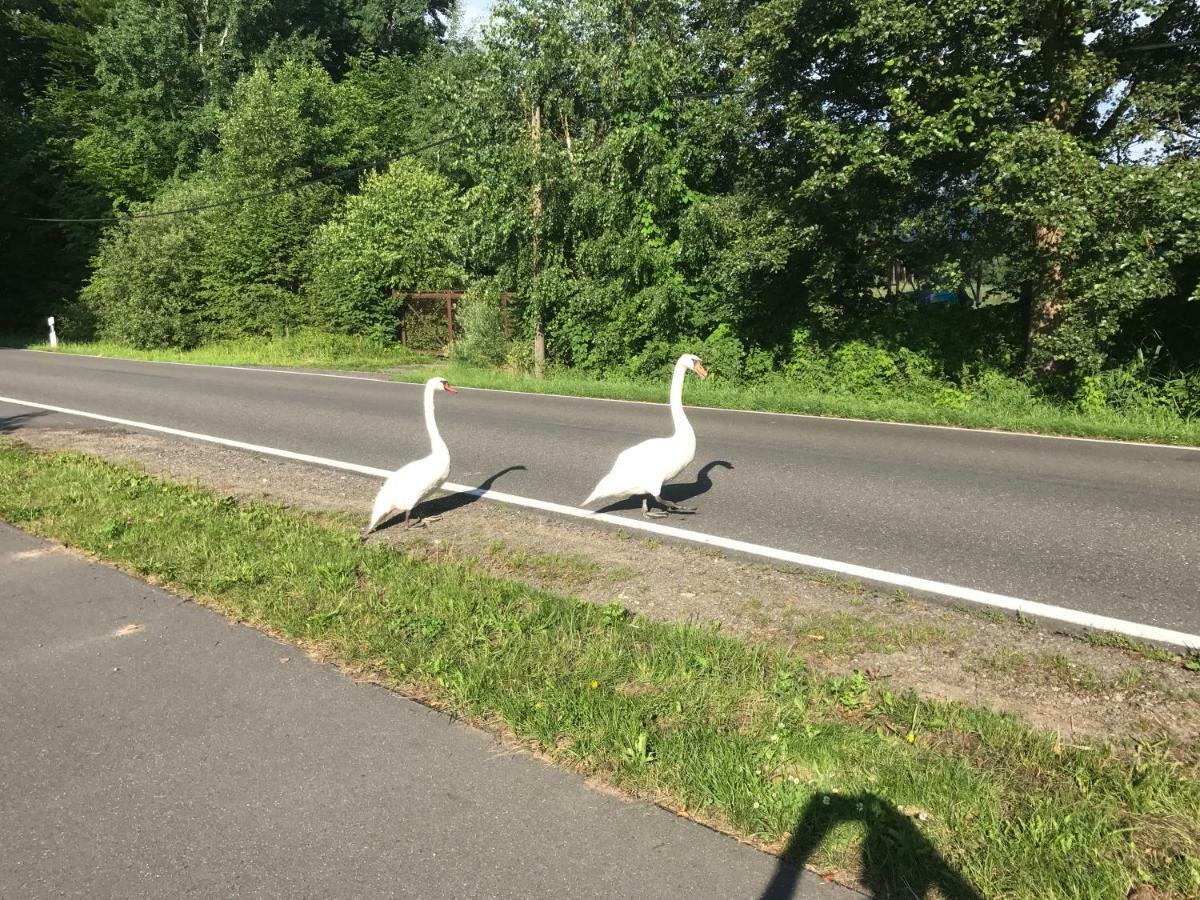 Ferienhaus Im Fischersteig Wustrow  Bagian luar foto