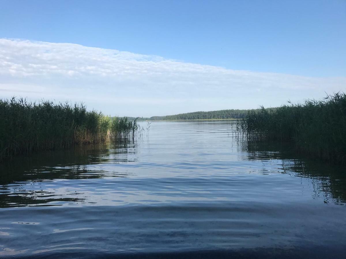 Ferienhaus Im Fischersteig Wustrow  Bagian luar foto
